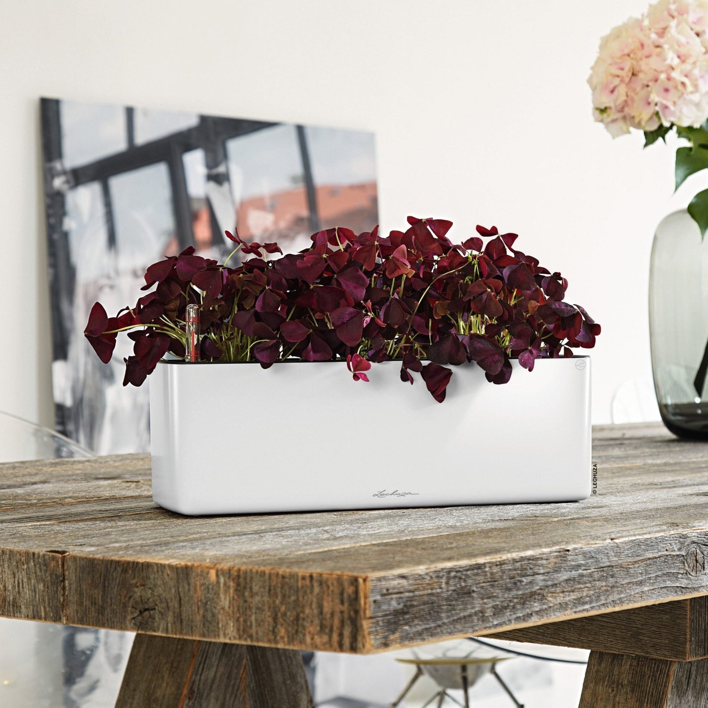 Glossy CUBE Triple - mazeproducts