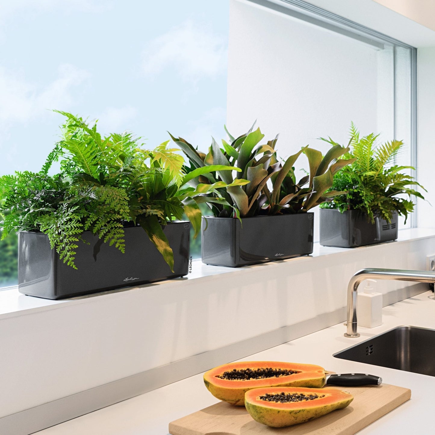 Glossy CUBE Triple - mazeproducts