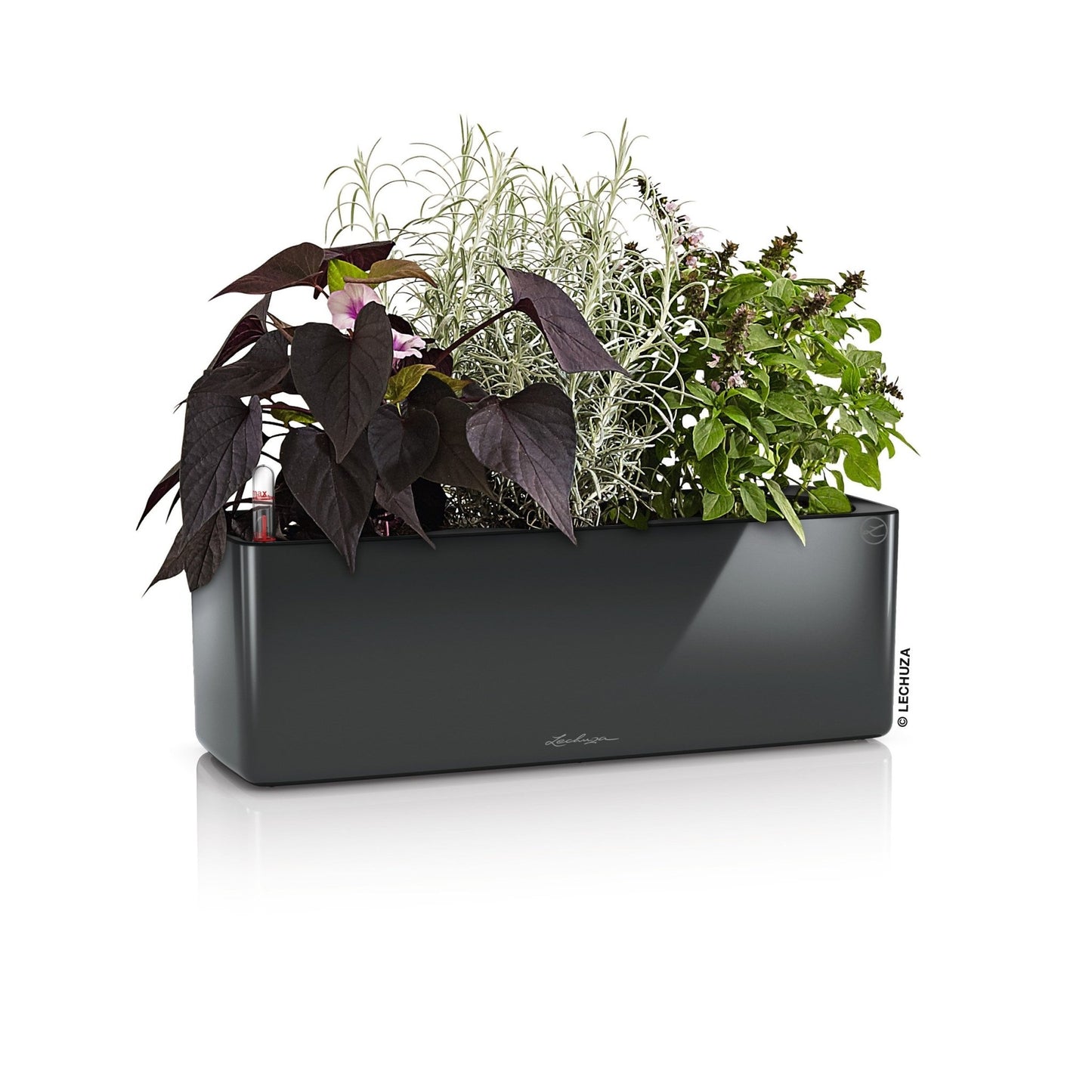 Glossy CUBE Triple - mazeproducts