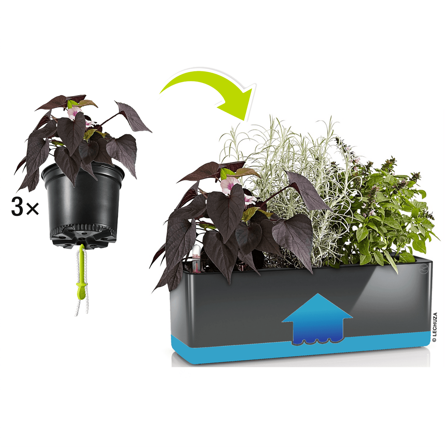 Glossy CUBE Triple - mazeproducts