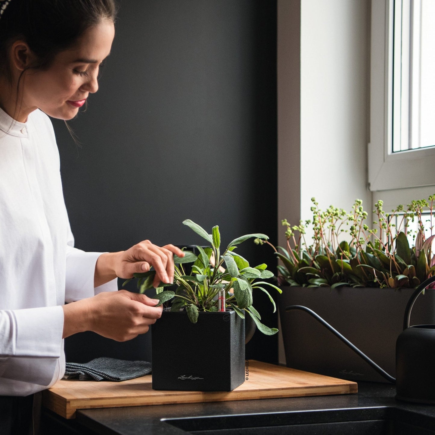 CANTO Stone 14 - mazeproducts