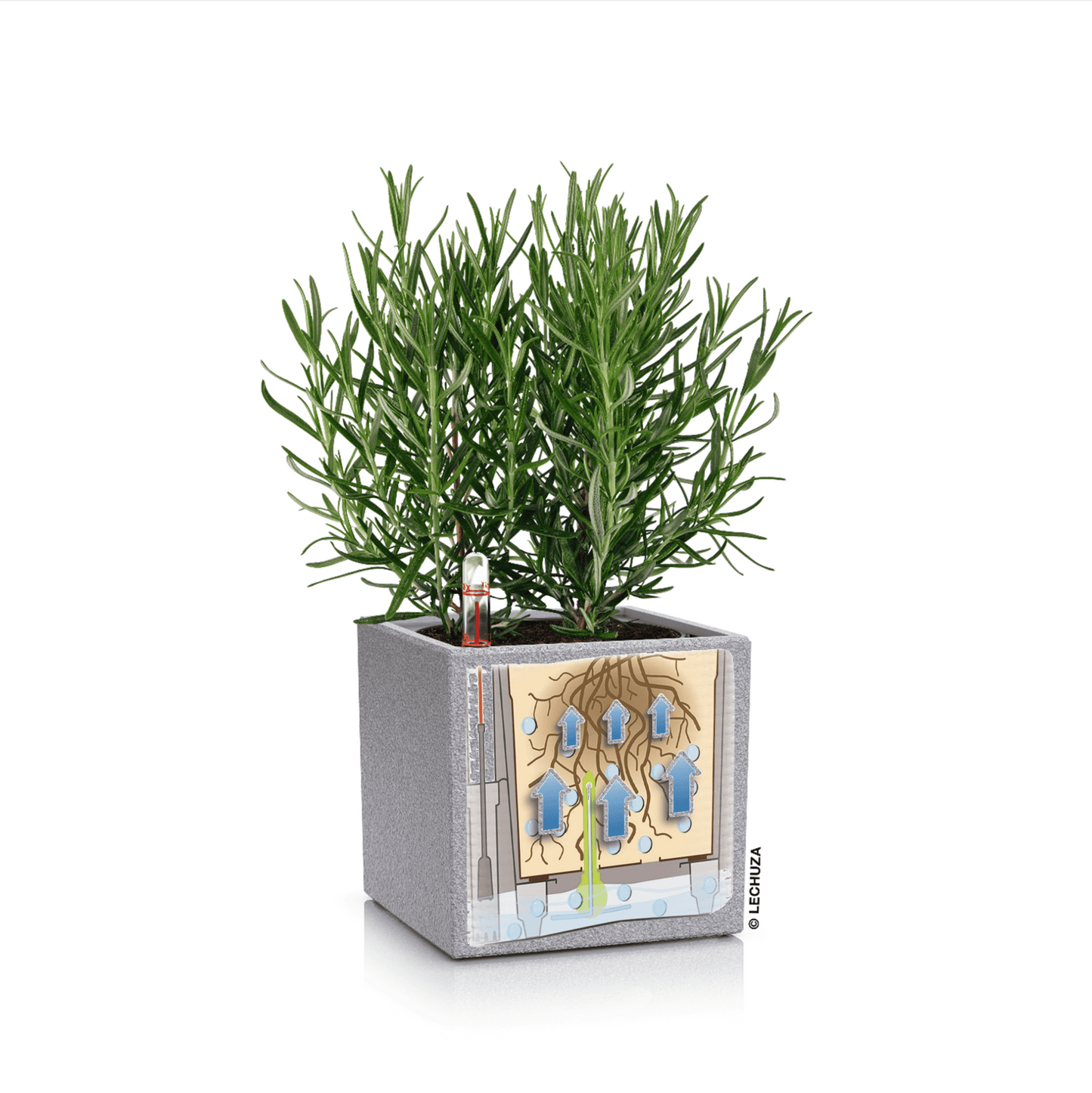 CANTO Stone 14 - mazeproducts