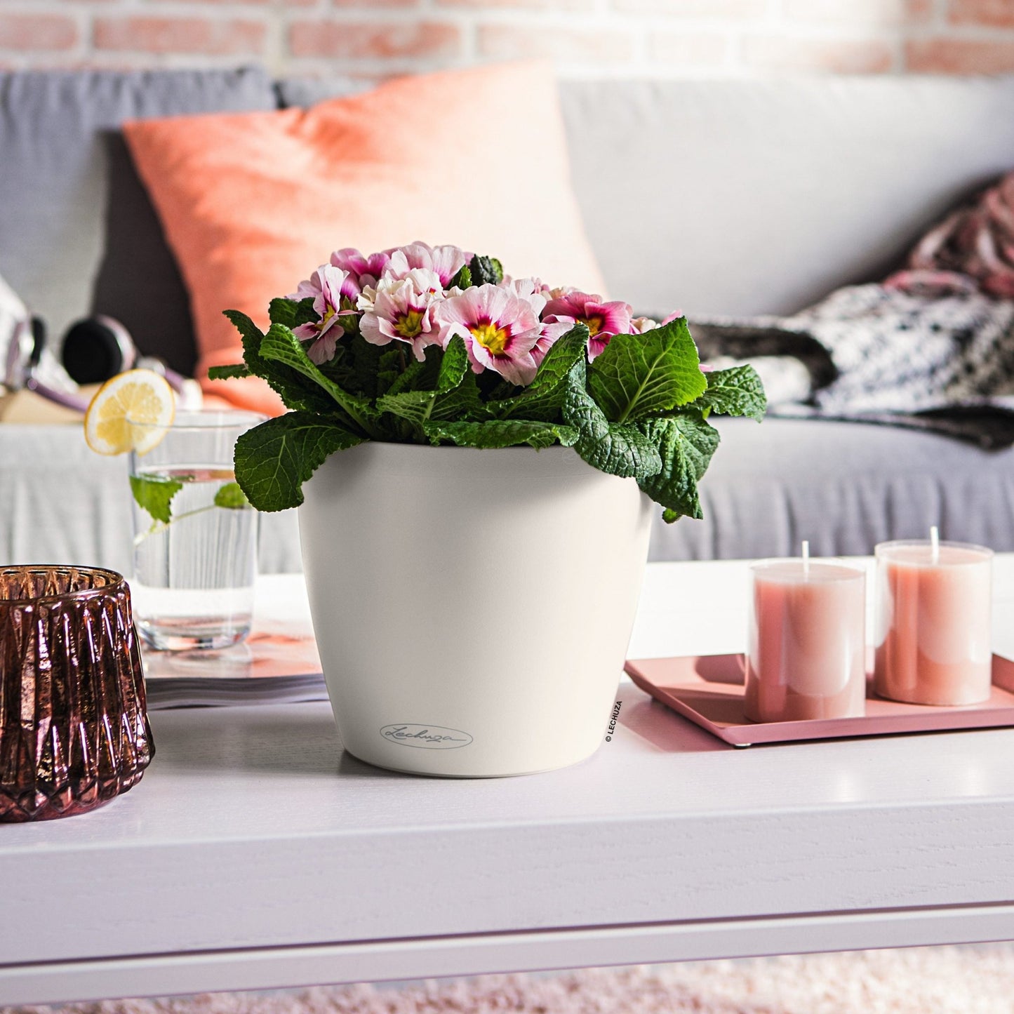 PRE ORDER OCT. - CLASSICO Color 18 - mazeproducts