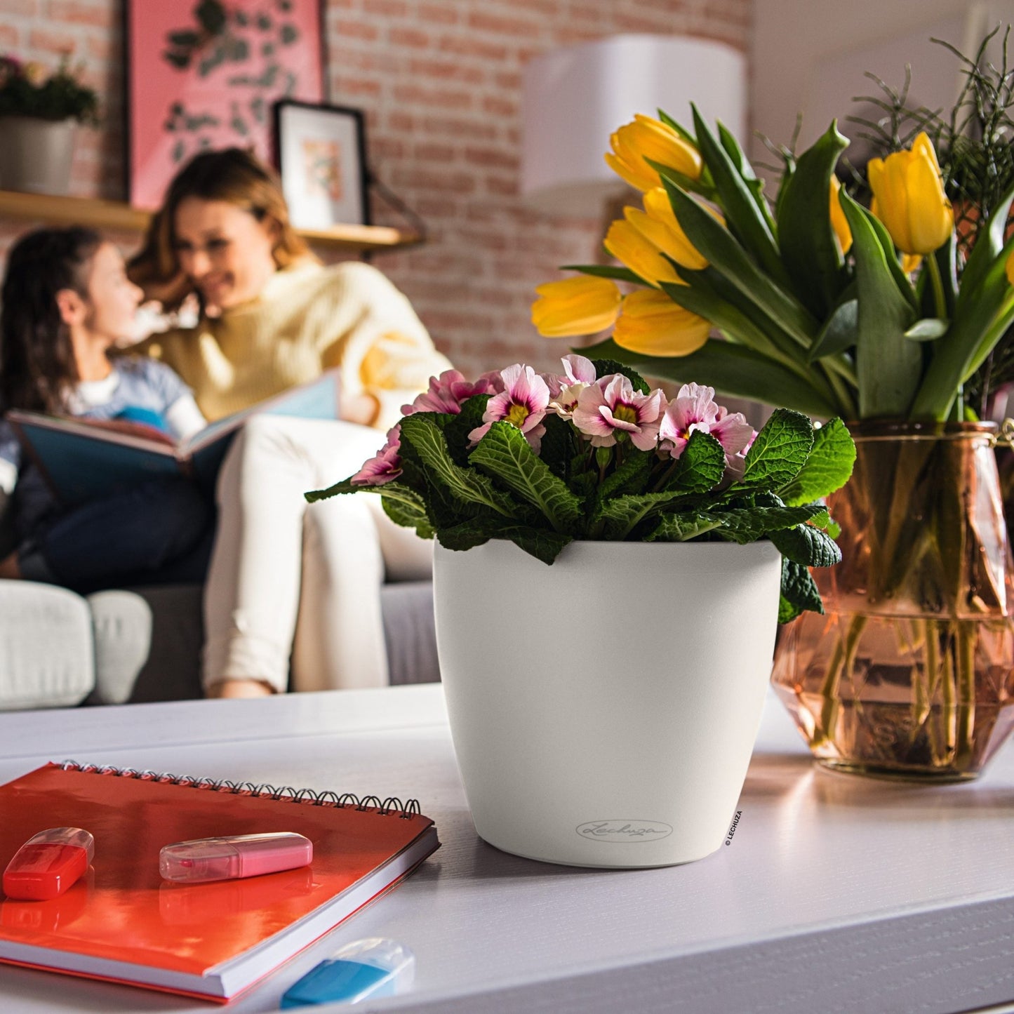 PRE ORDER OCT. - CLASSICO Color 18 - mazeproducts