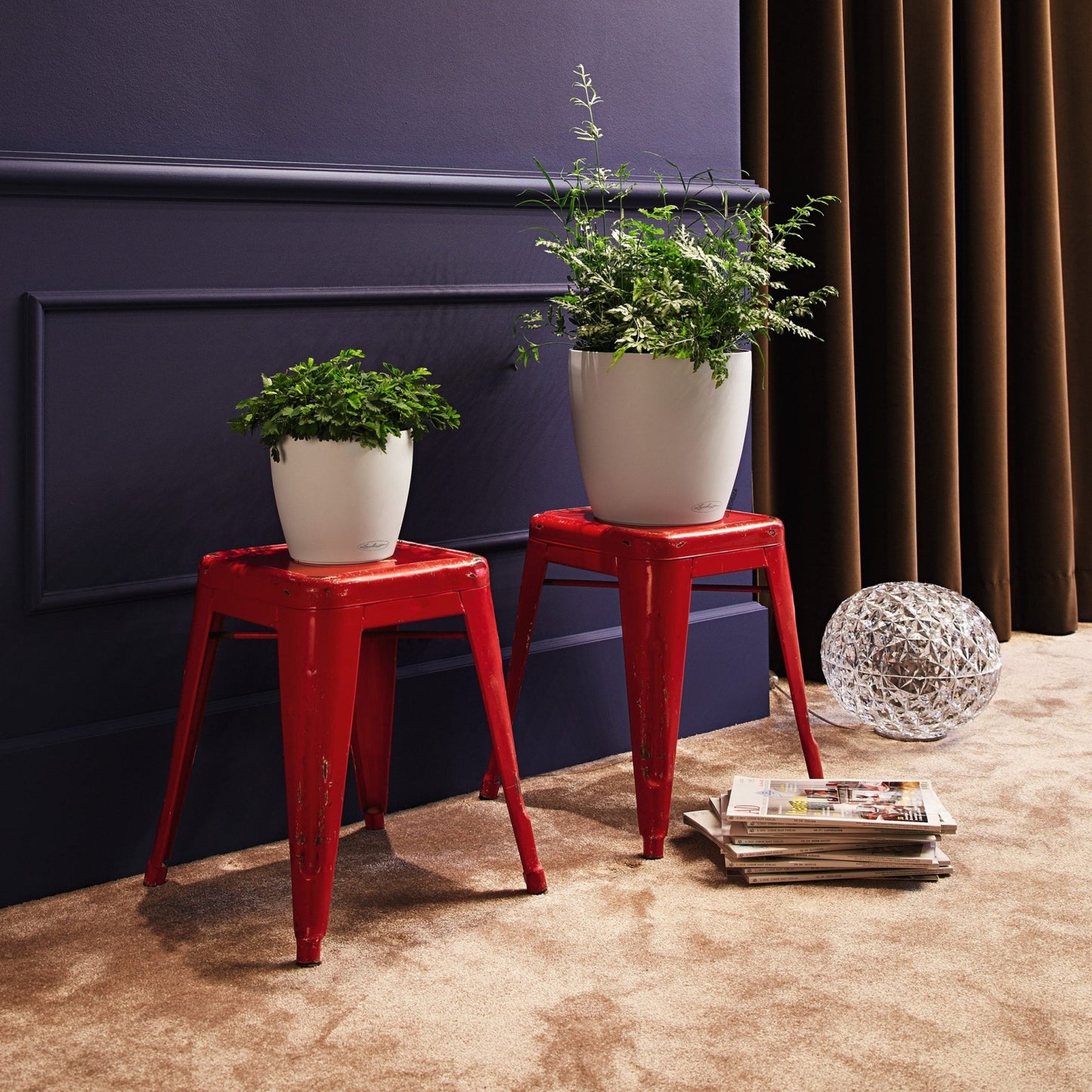 PRE ORDER: OCT. - CLASSICO Color 28 - mazeproducts