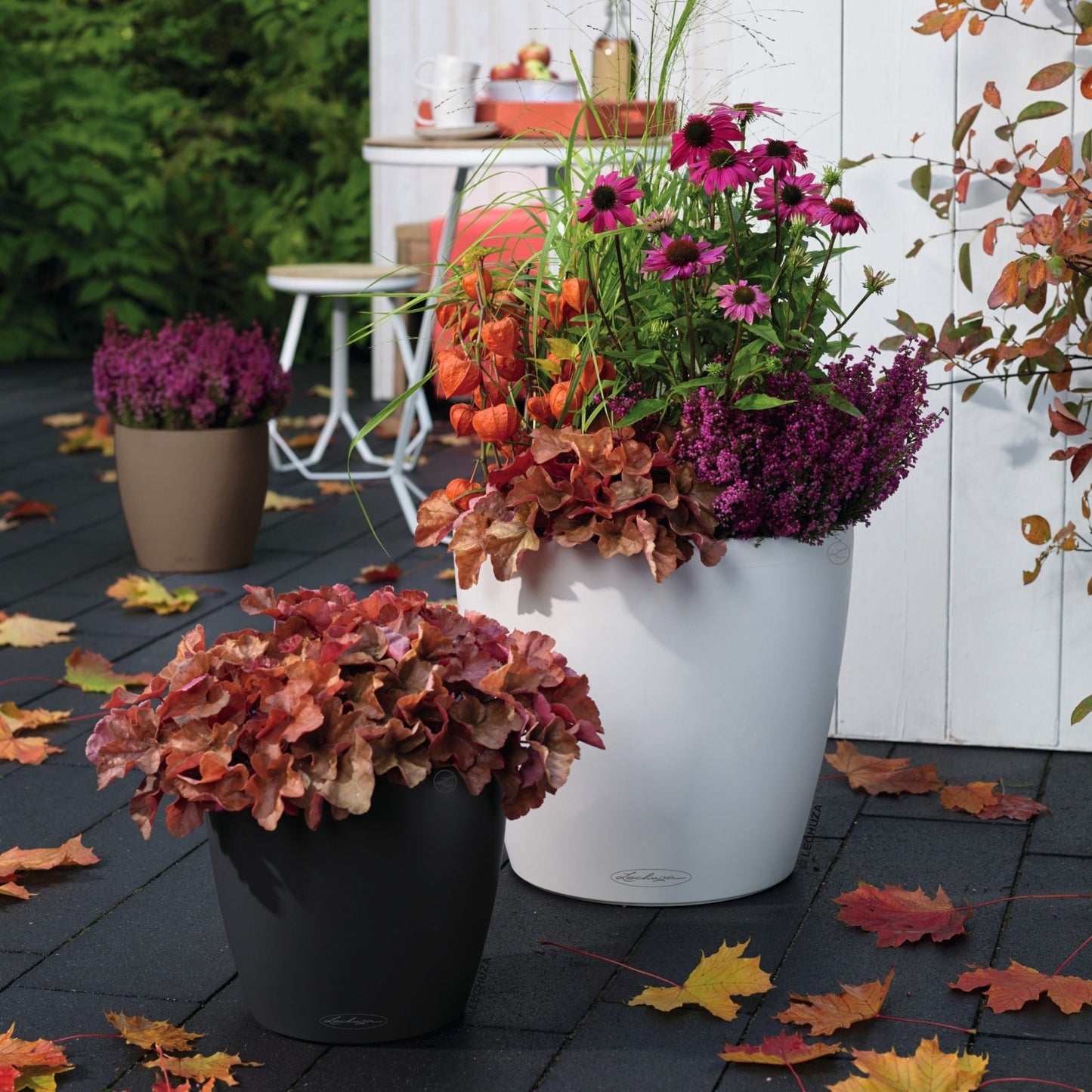 CLASSICO Color 35 - mazeproducts