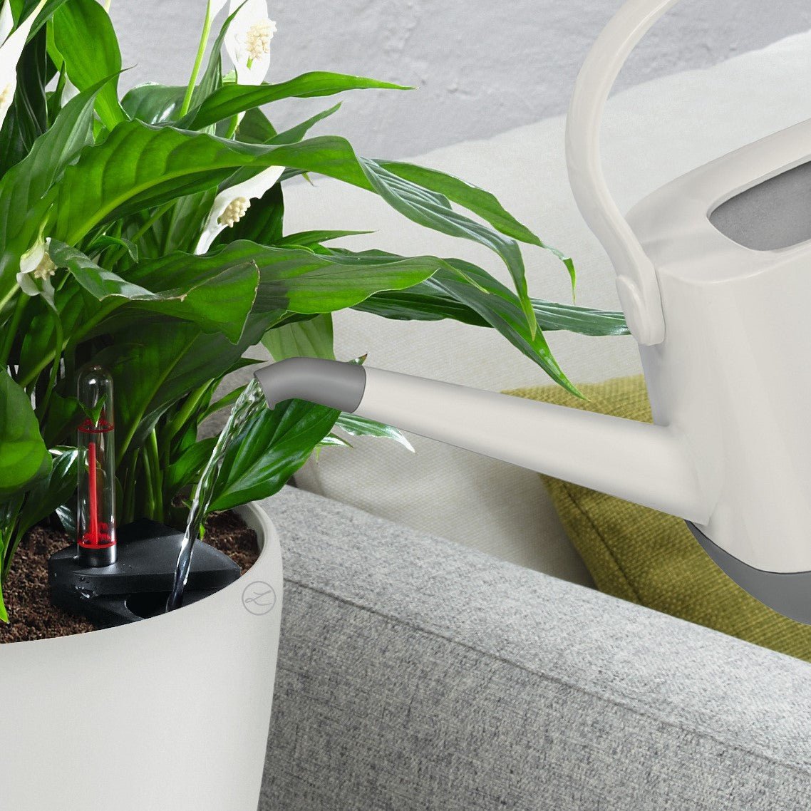 CLASSICO Color 21 - mazeproducts