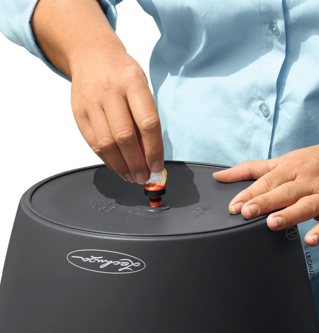 CLASSICO Color 21 - mazeproducts