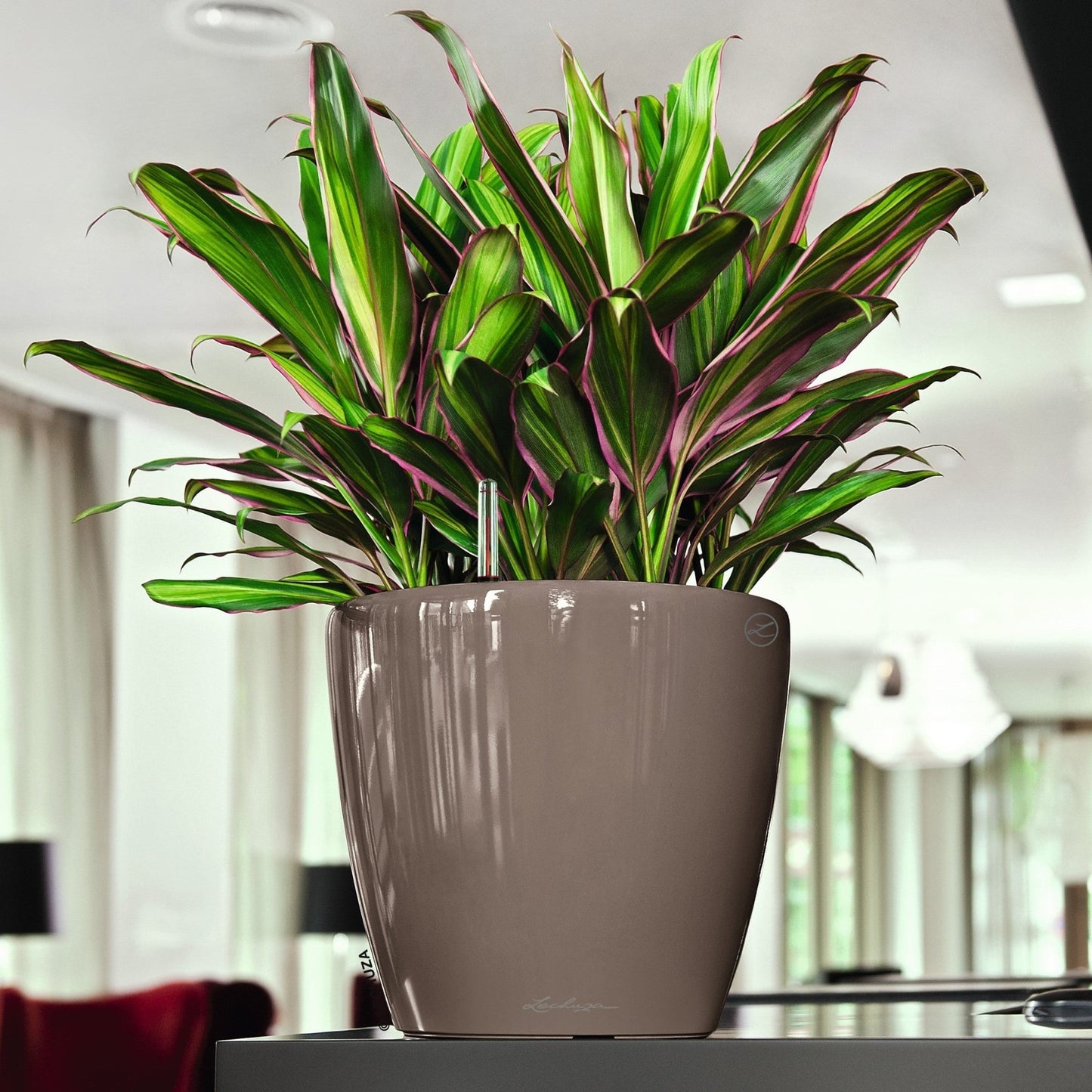 CLASSICO LS 28 Premium - mazeproducts