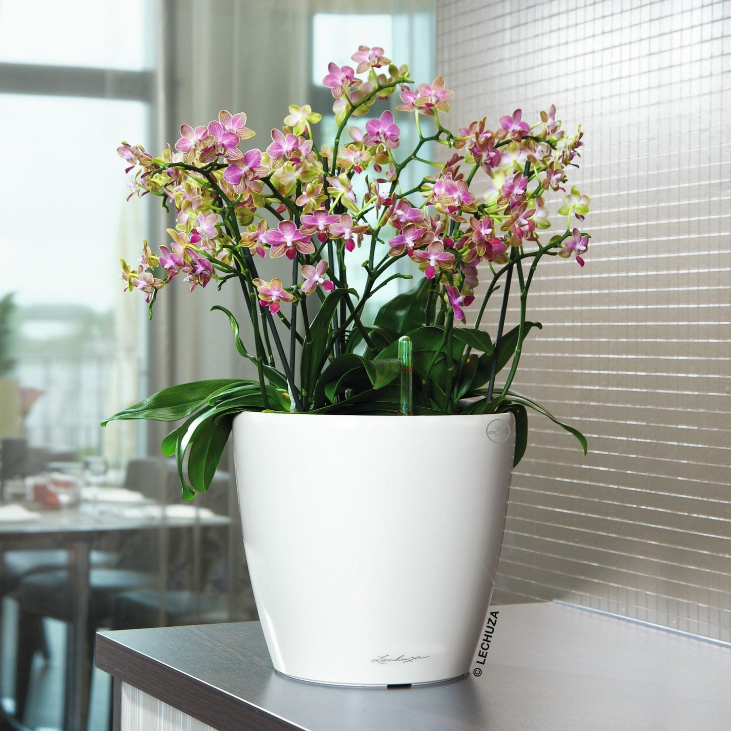 CLASSICO LS 35 Premium - mazeproducts