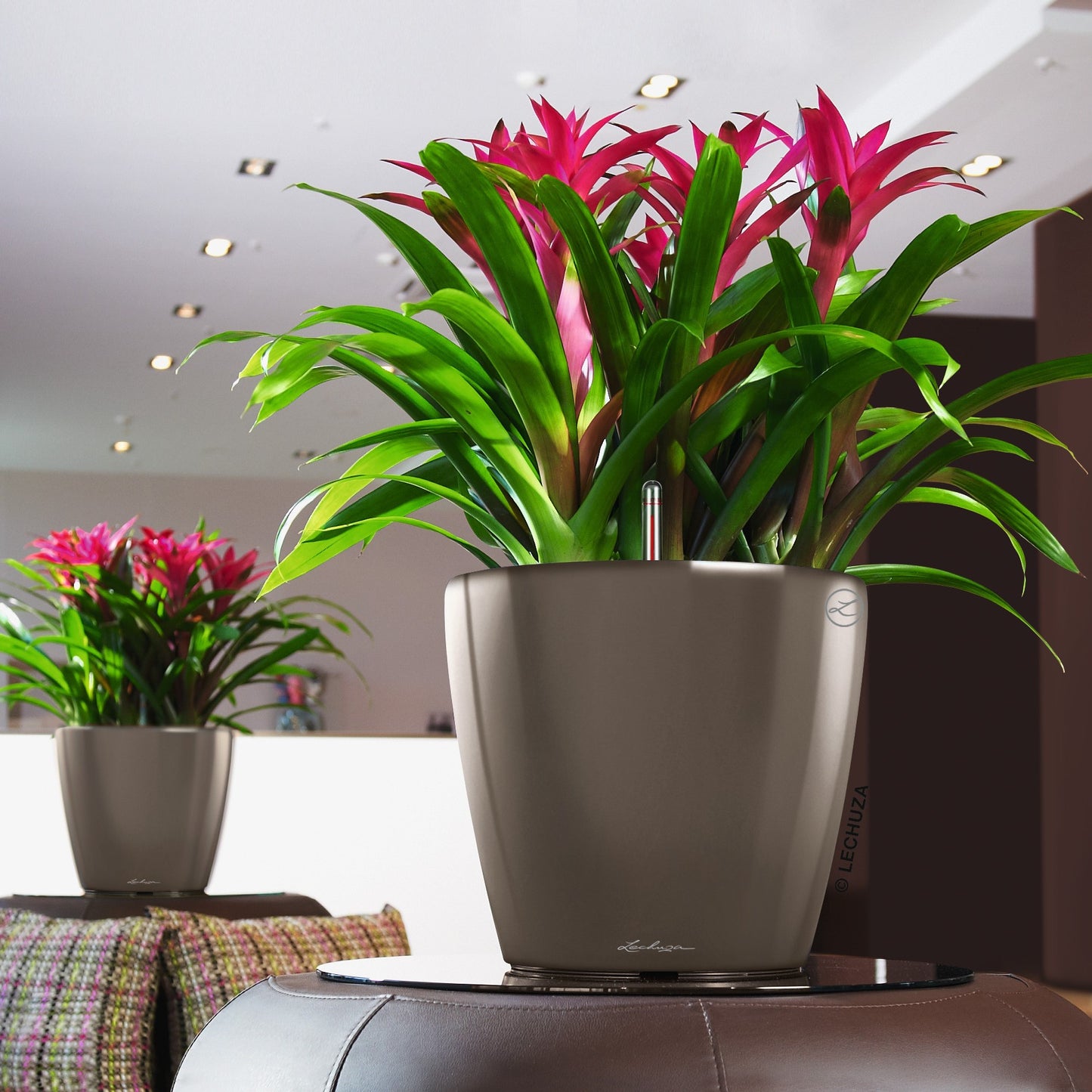 CLASSICO LS 35 Premium - mazeproducts