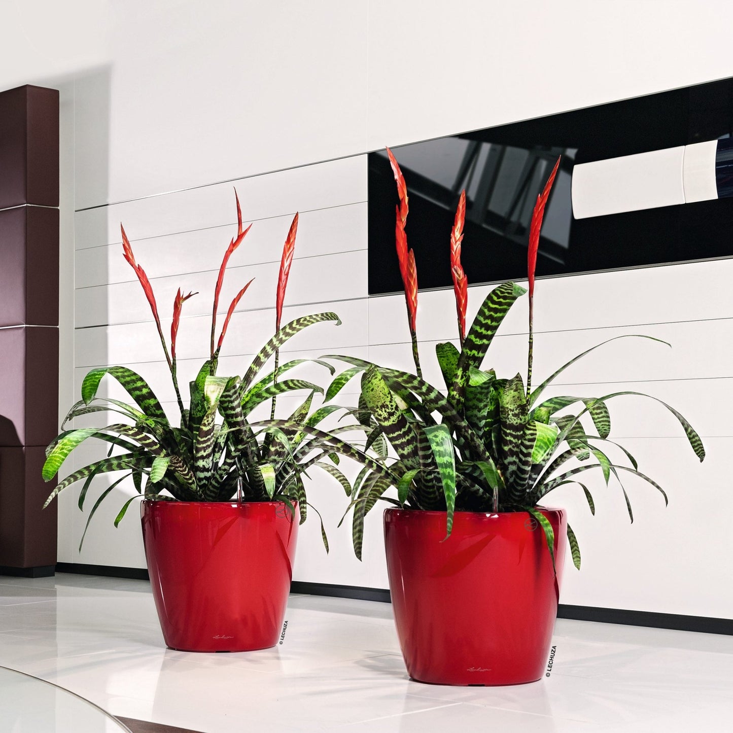 CLASSICO LS 43 Premium - mazeproducts