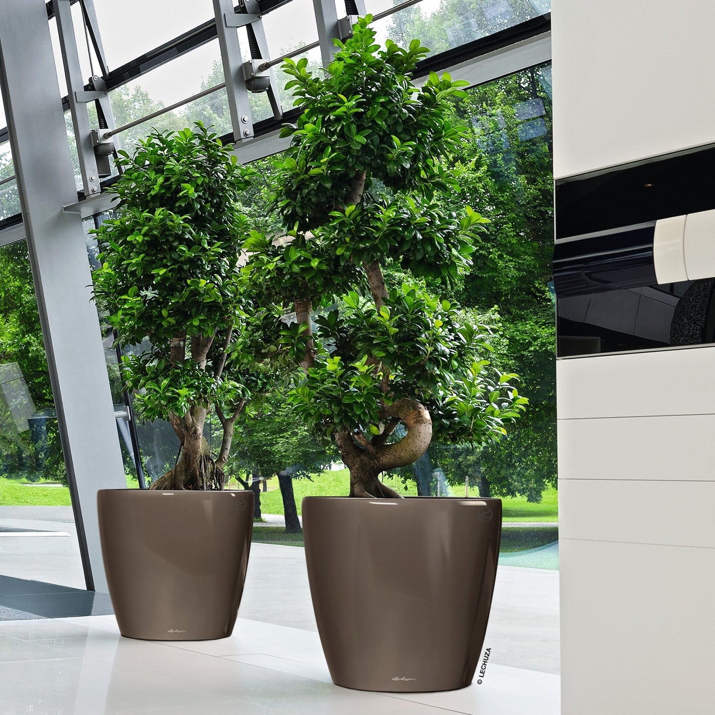 CLASSICO LS 50 Premium - mazeproducts