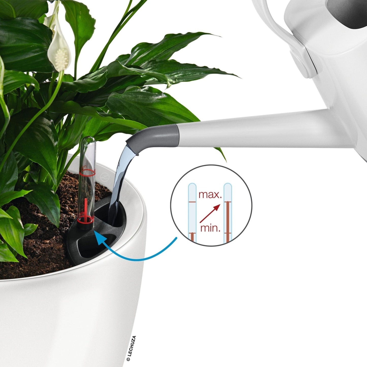 CLASSICO LS 43 Premium - mazeproducts