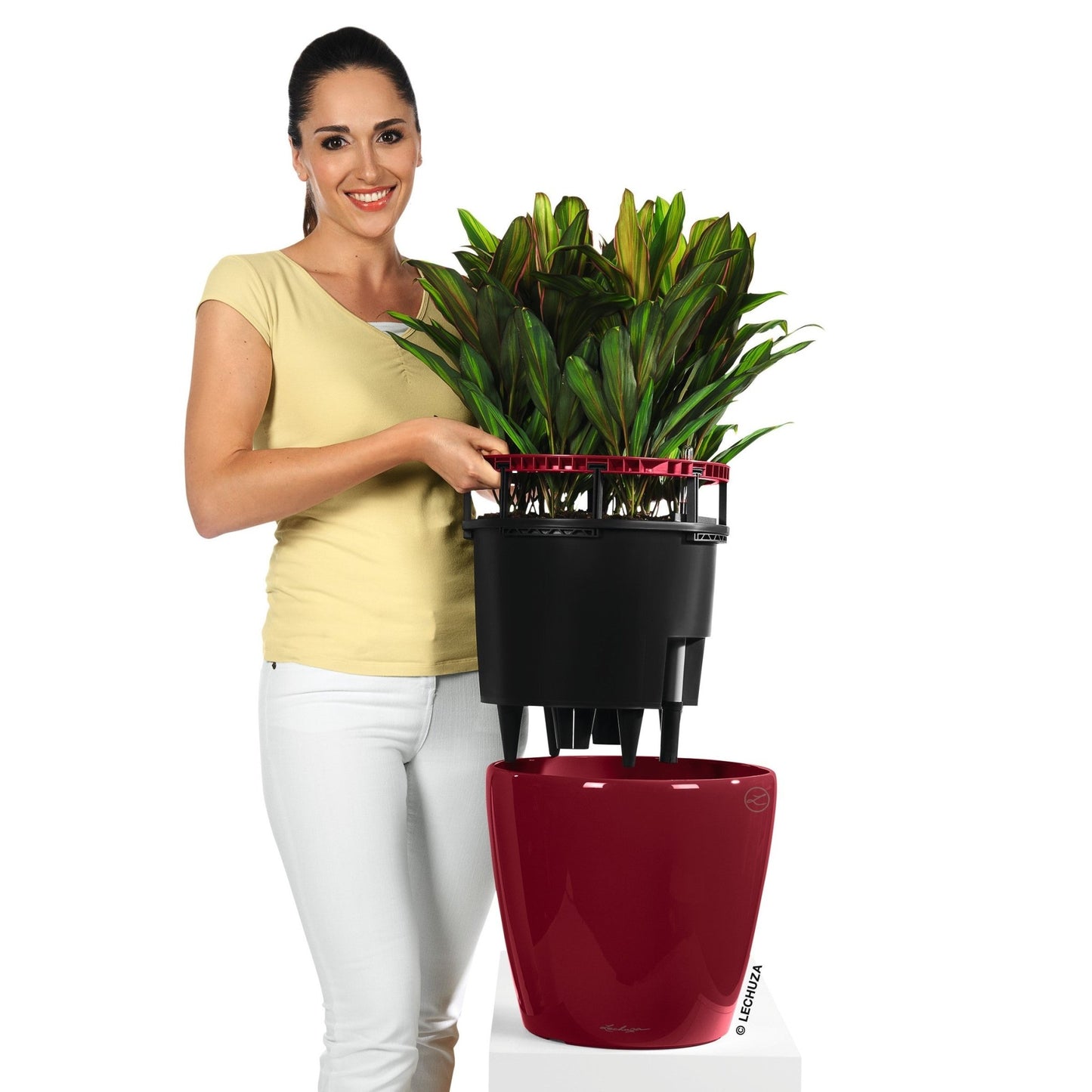 CLASSICO LS 35 Premium - mazeproducts