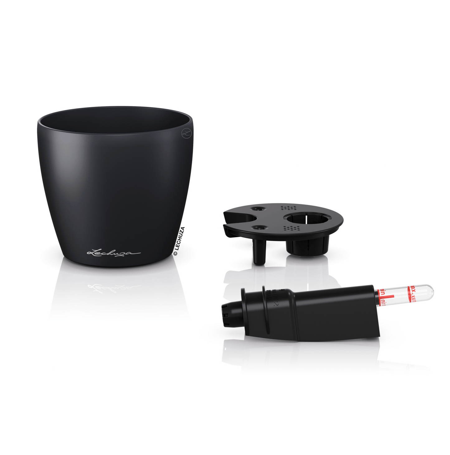 PRE ORDER OCT. - CLASSICO Color 12 - mazeproducts