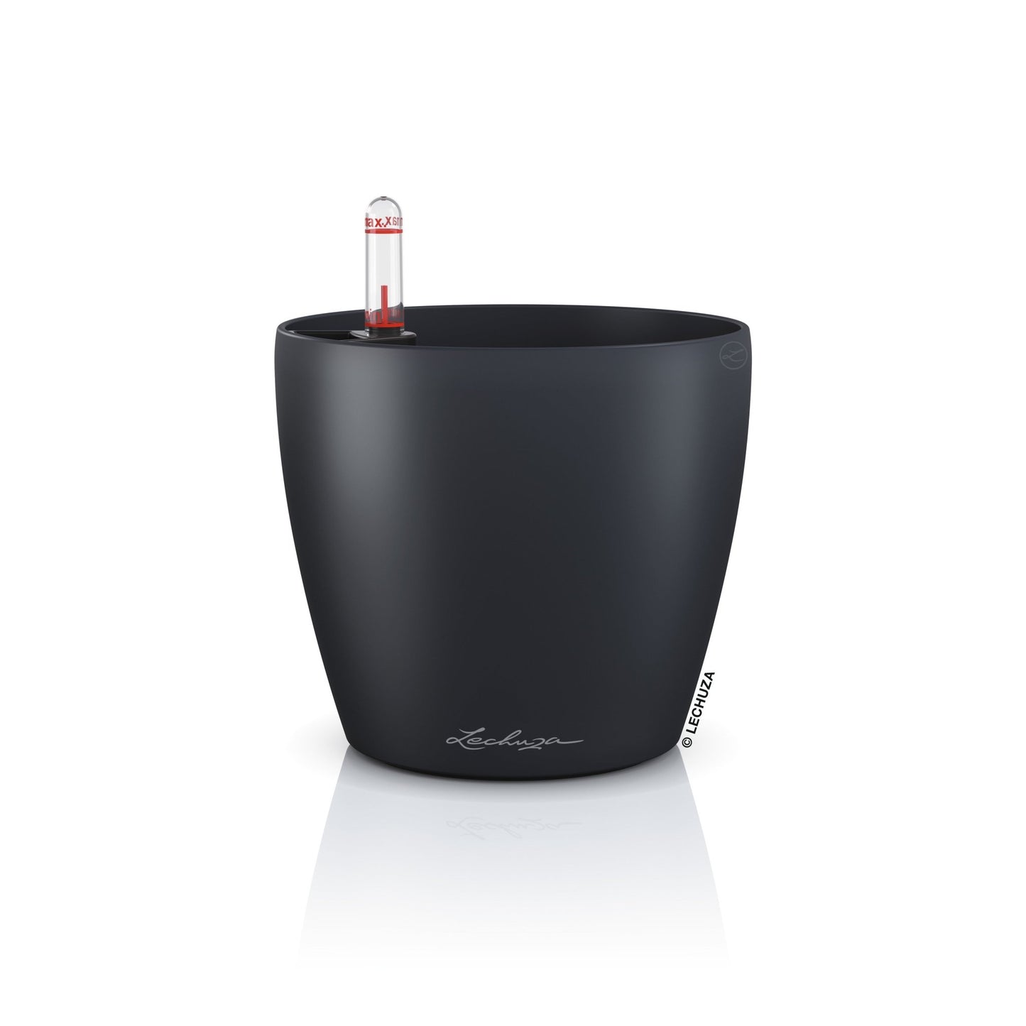 PRE ORDER OCT. - CLASSICO Color 12 - mazeproducts