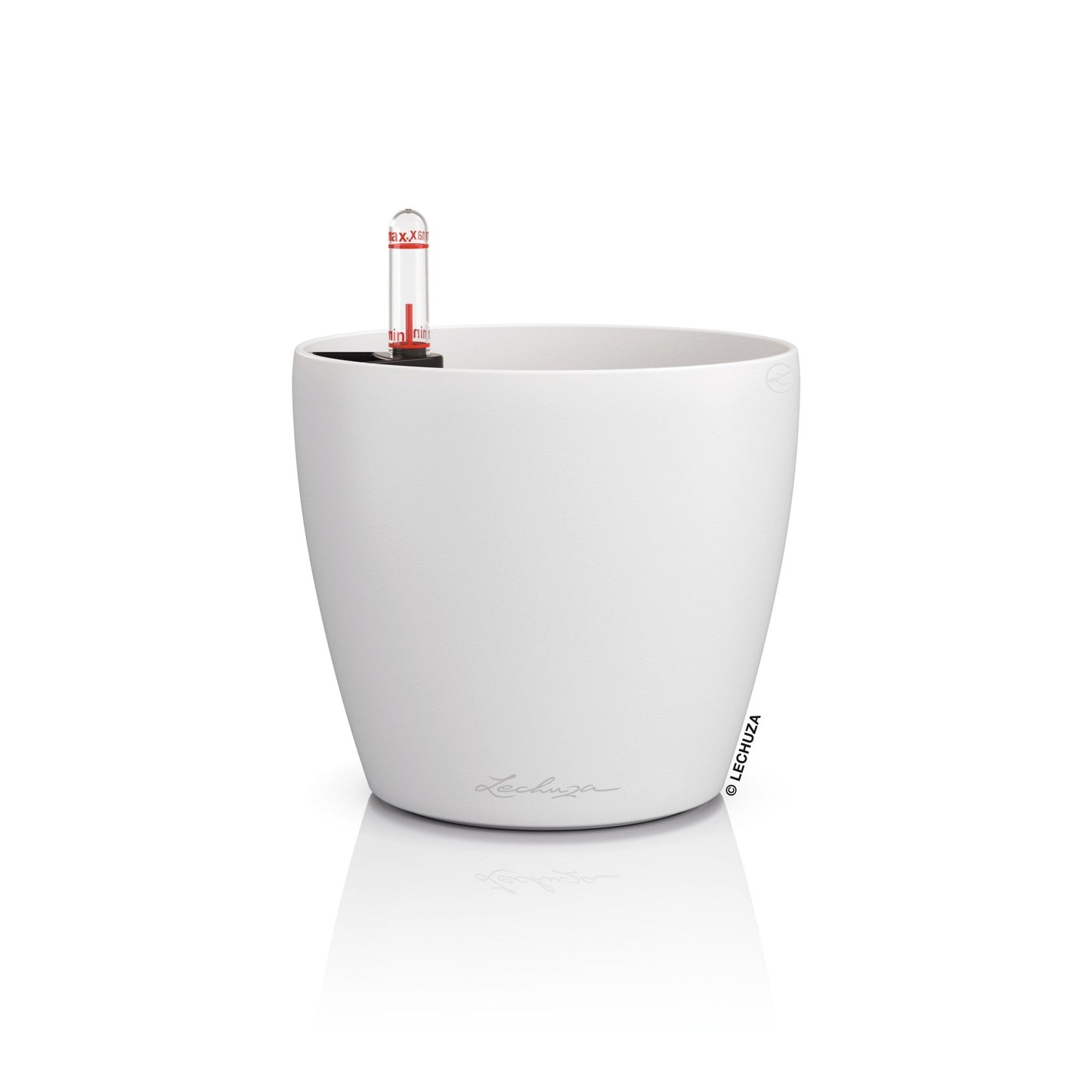 PRE ORDER OCT. - CLASSICO Color 12 - mazeproducts