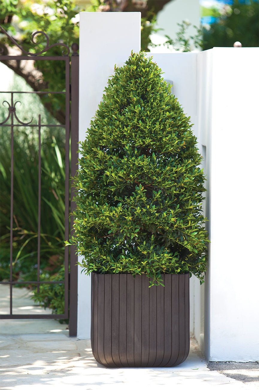 Keter Cube Planter - Brown (Small) - 3 Pack - mazeproducts