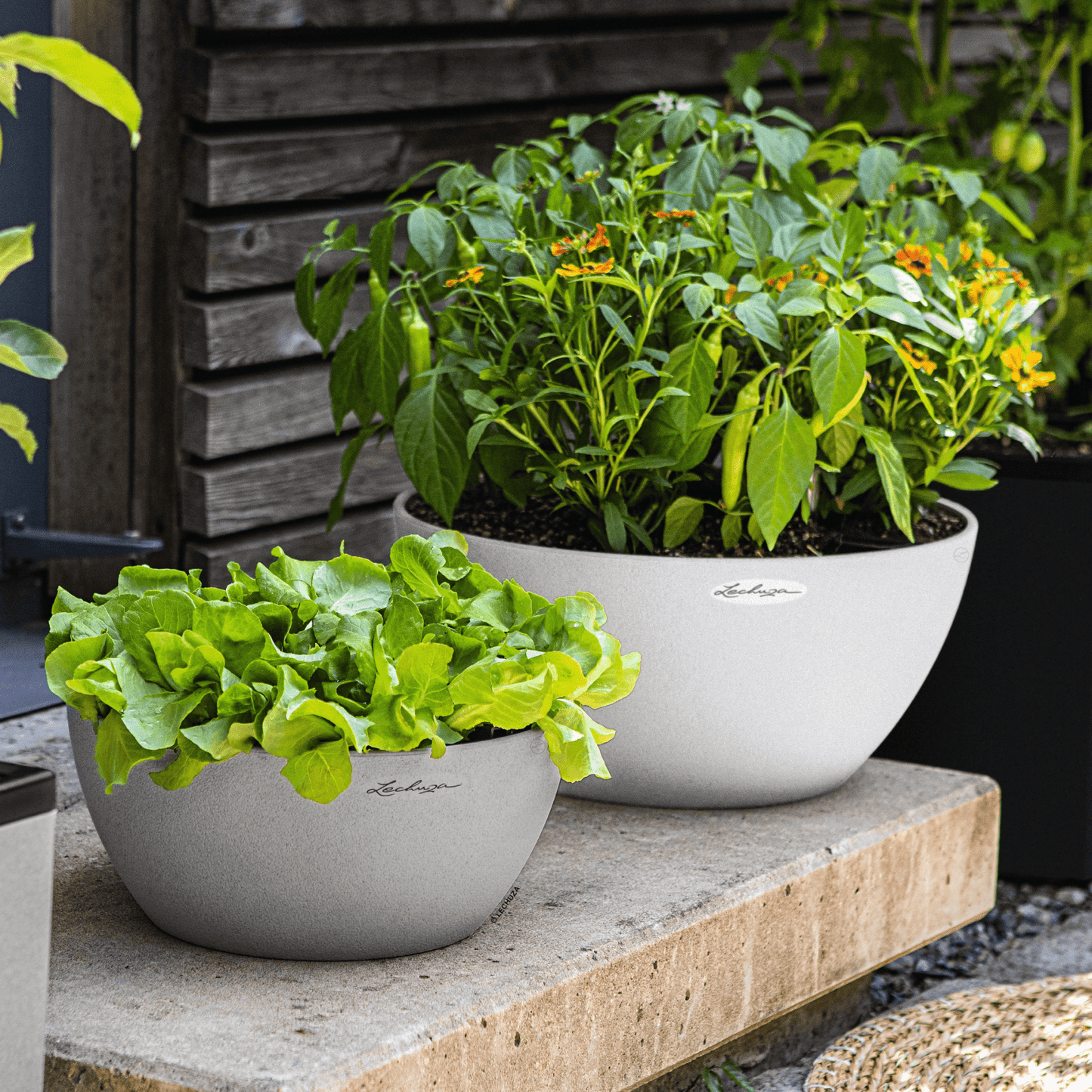 CUBETO Stone 30 Bowl - mazeproducts