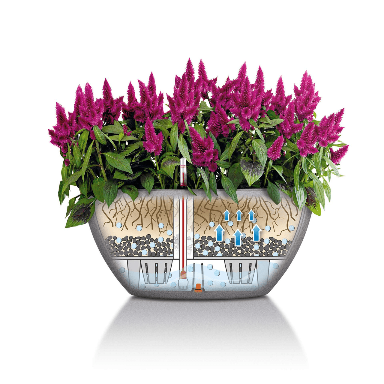 CUBETO Stone 40 Bowl - mazeproducts