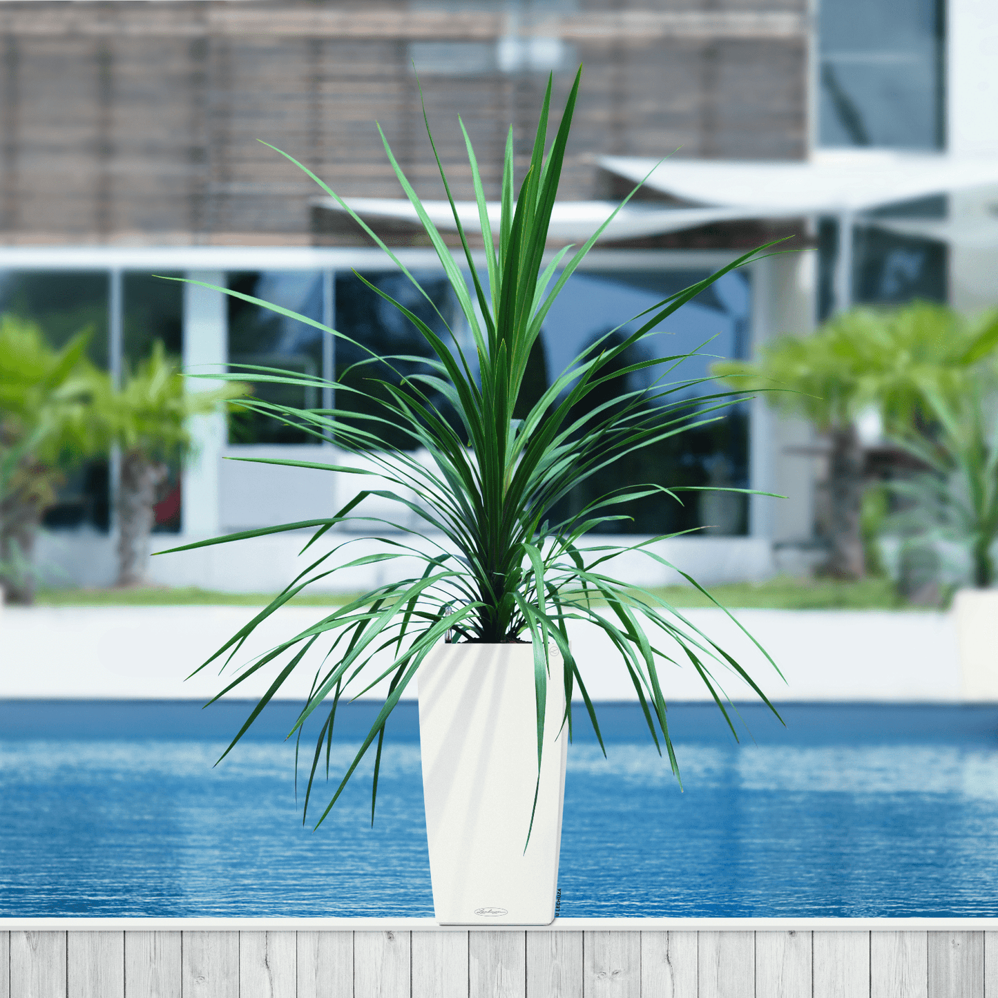 CUBICO Color 22 - mazeproducts