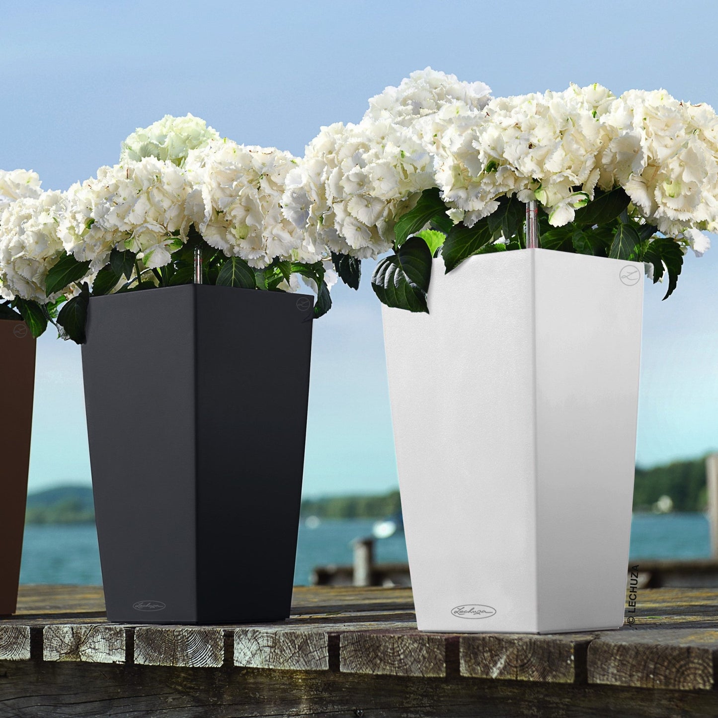 CUBICO Color 22 - mazeproducts