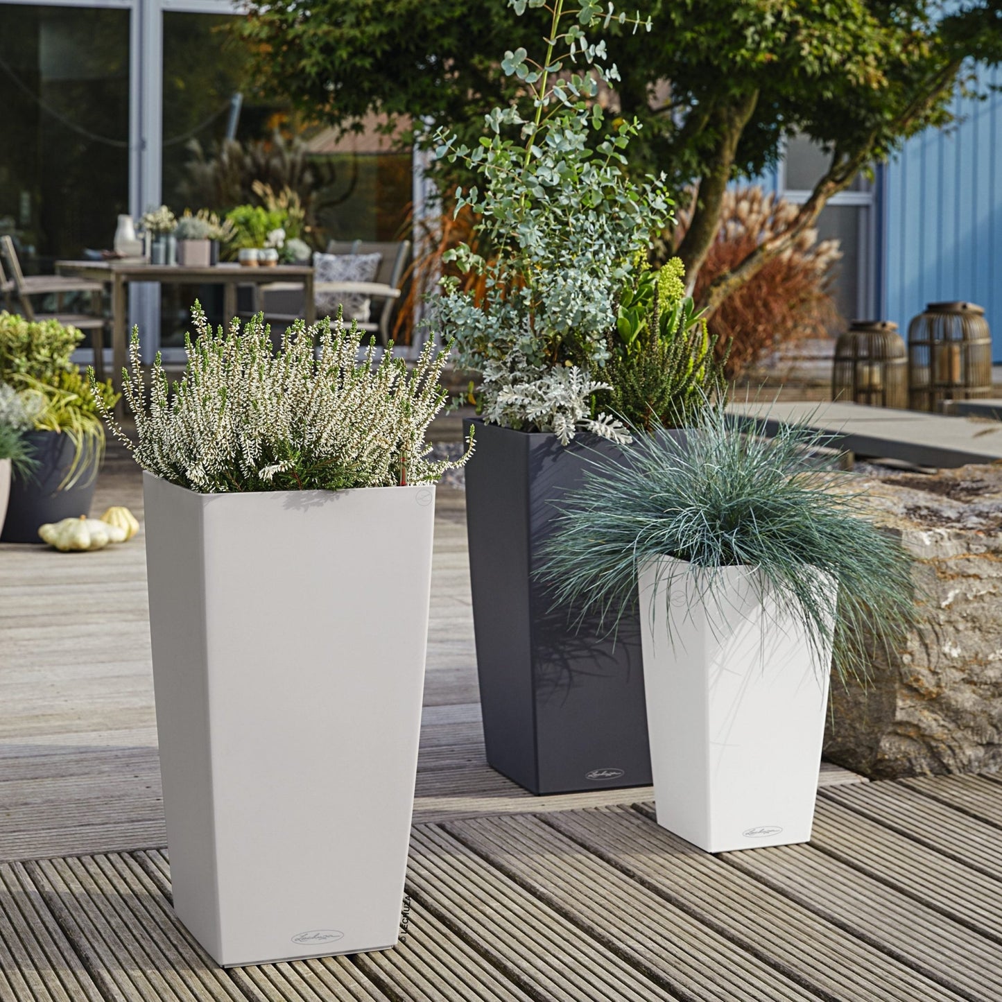 CUBICO Color 30 - mazeproducts