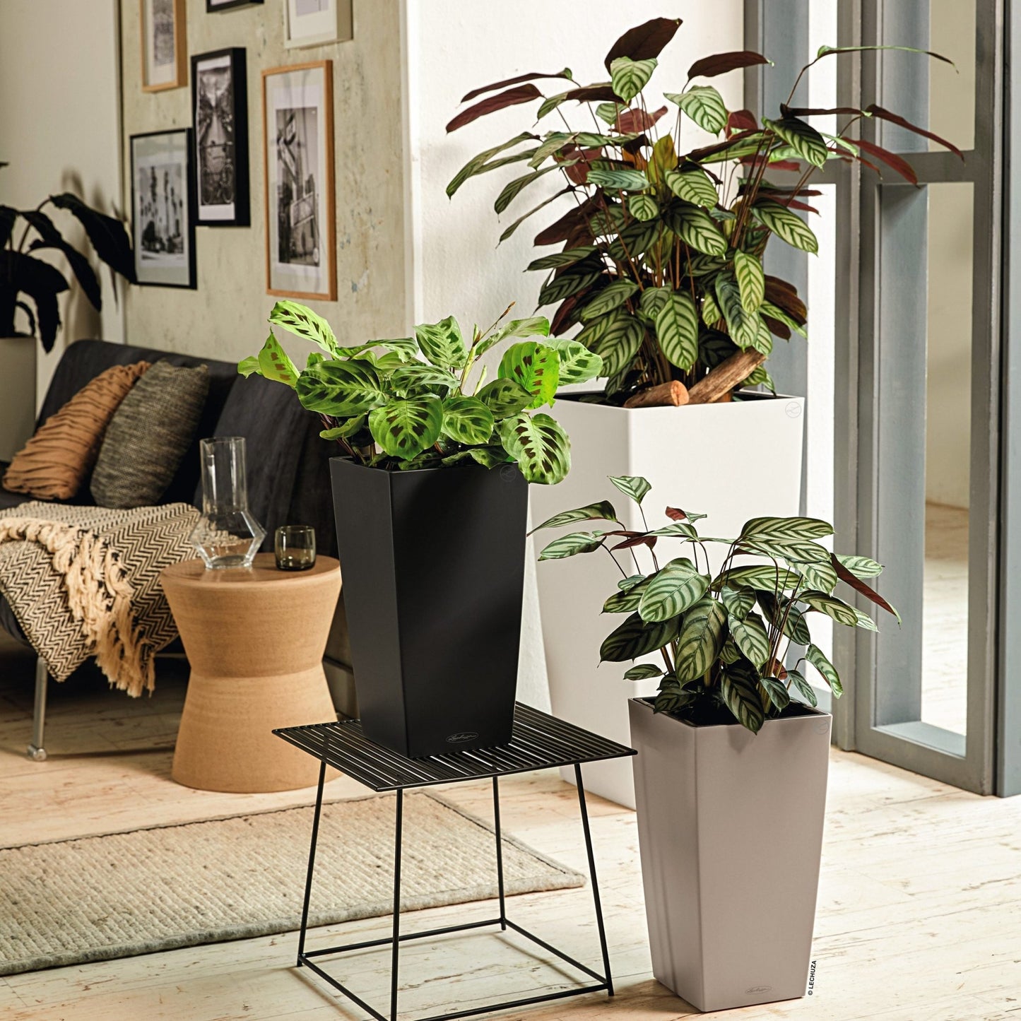 CUBICO Color 30 - mazeproducts