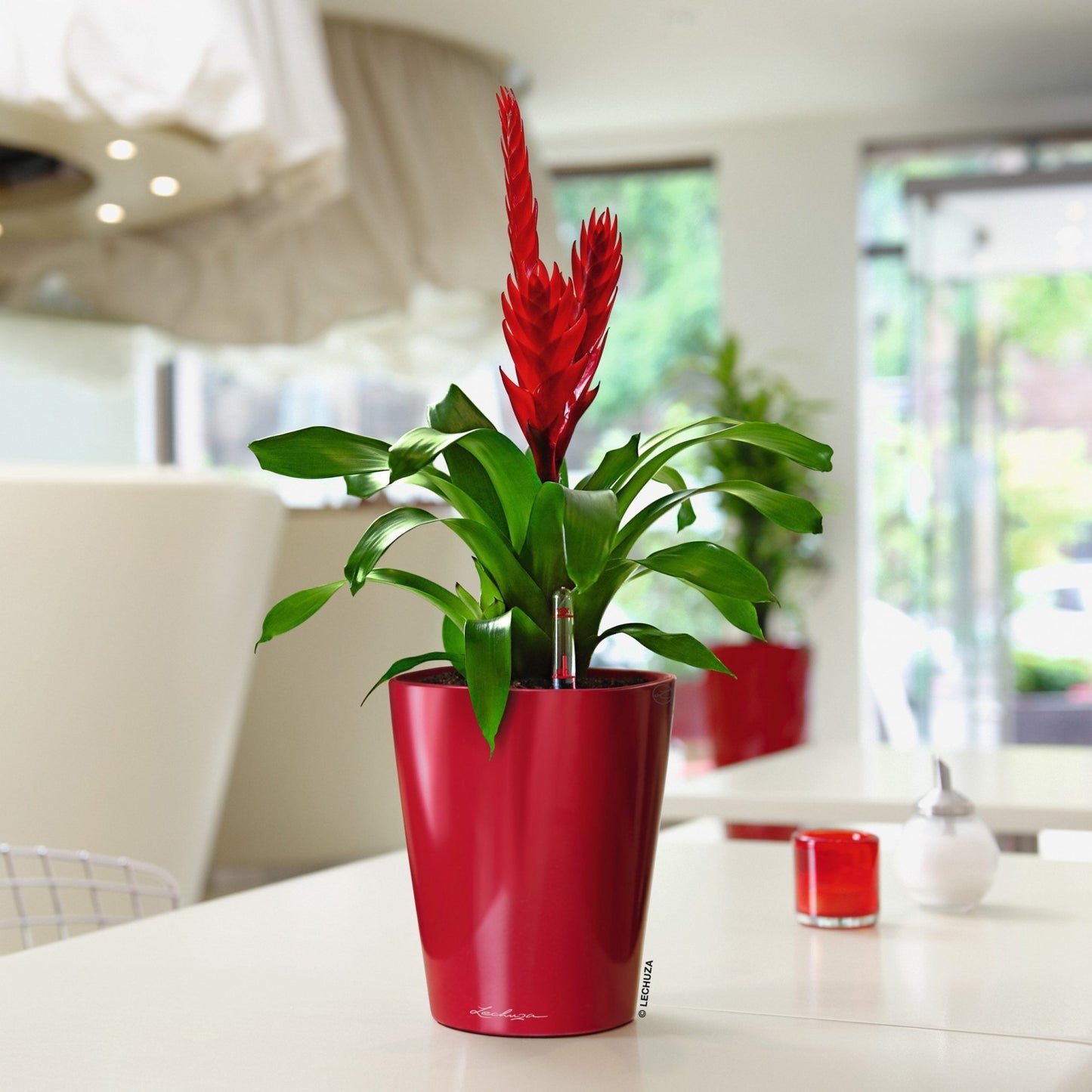 DELTINI - mazeproducts