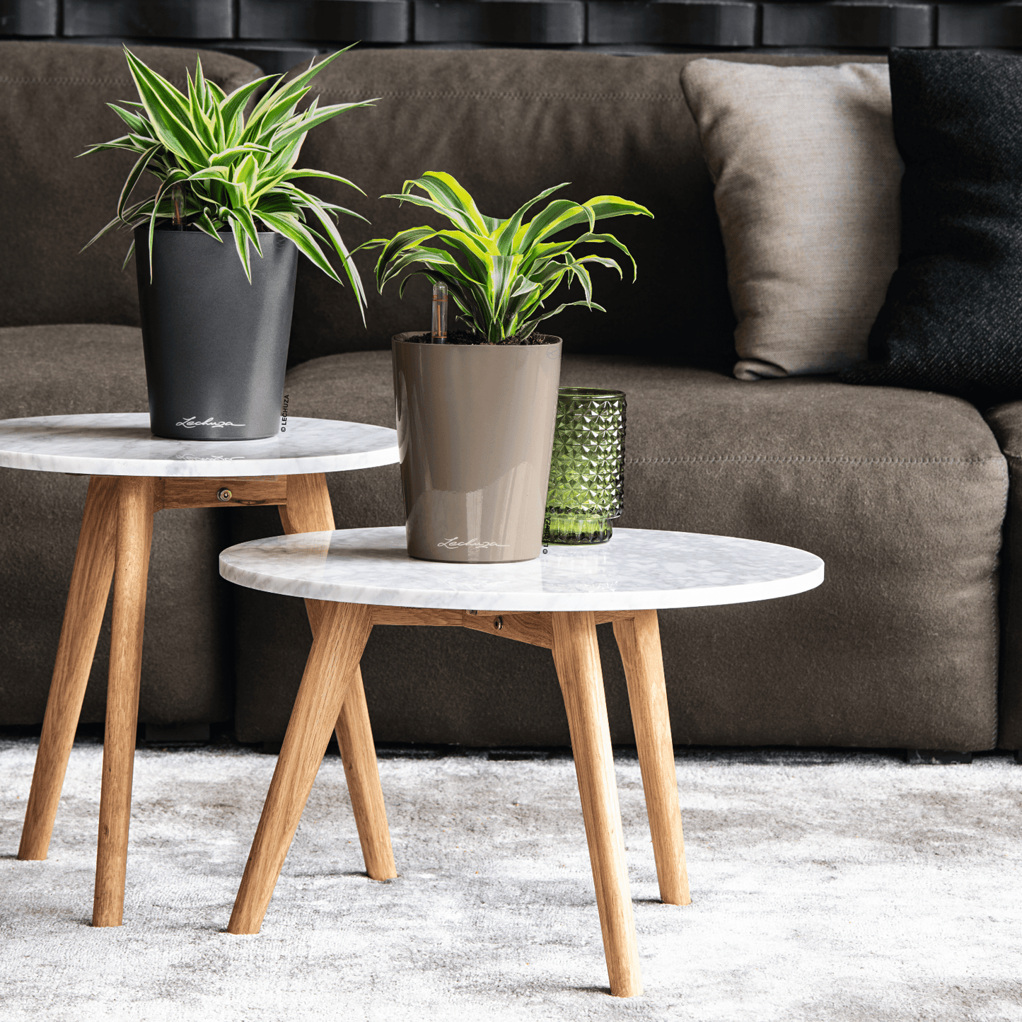 DELTINI - mazeproducts