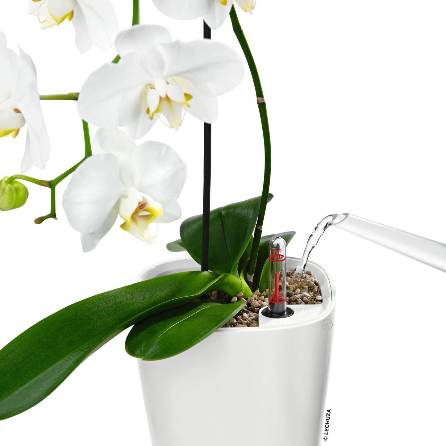 MINI DELTINI - mazeproducts