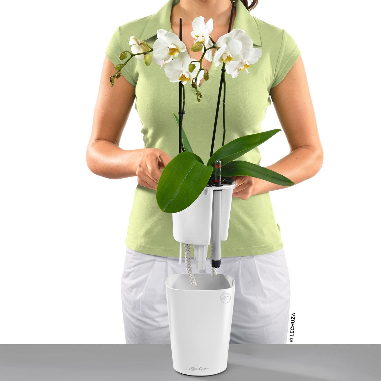 DELTINI - mazeproducts