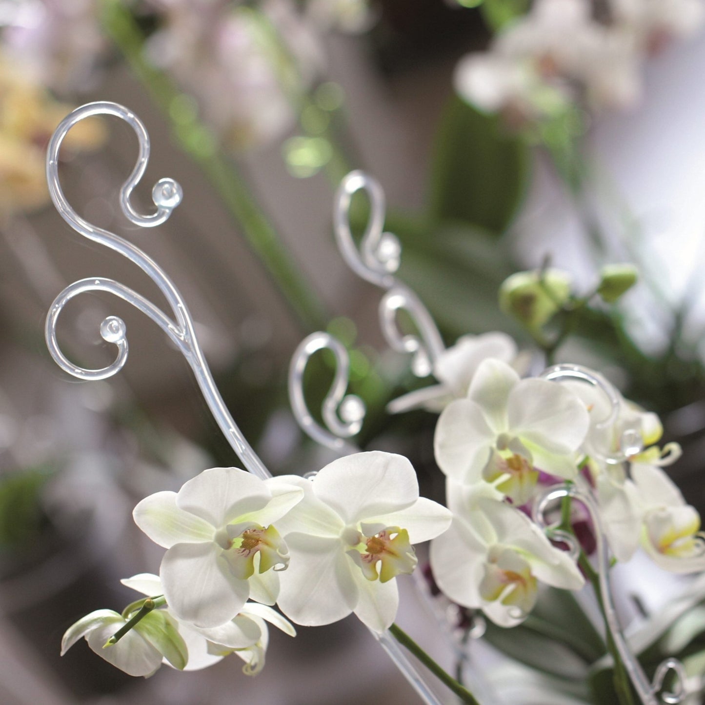 Decor Orchid Sticks - 2pk - mazeproducts