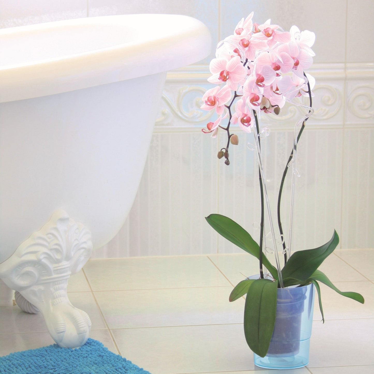 Decor Orchid Sticks - 2pk - mazeproducts