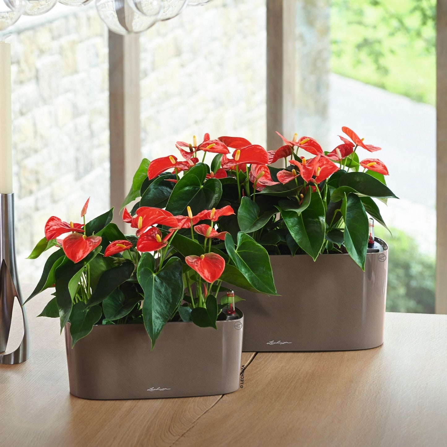 DELTA 10 - mazeproducts