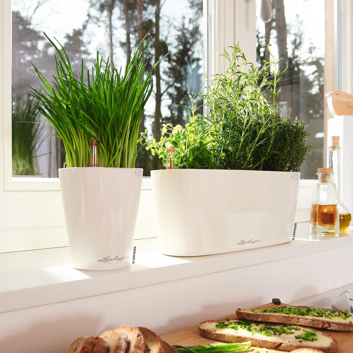 DELTA 10 - mazeproducts