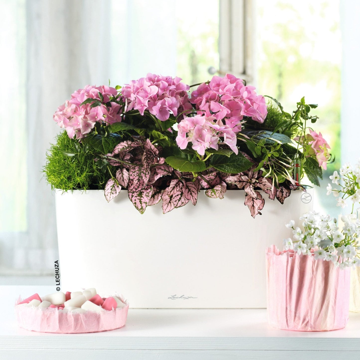 DELTA 20 - mazeproducts