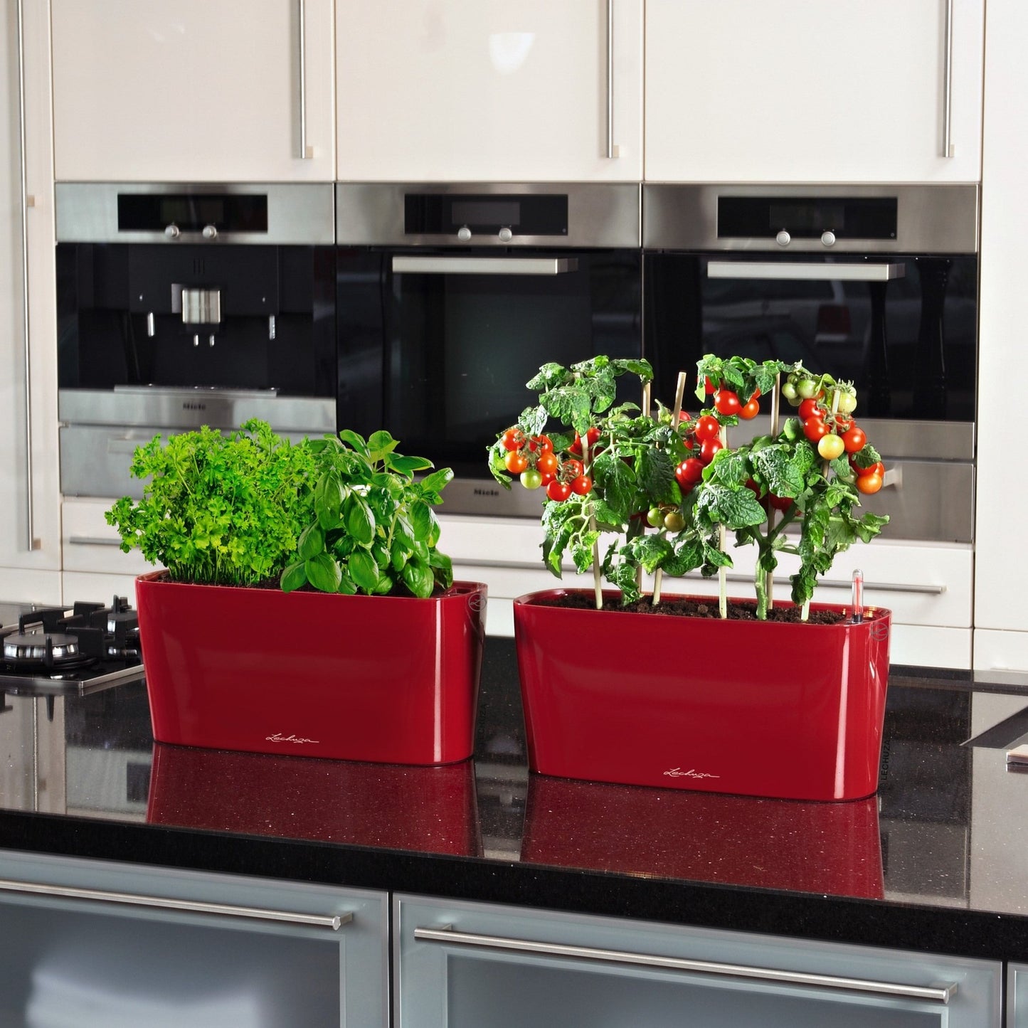 DELTA 20 - mazeproducts