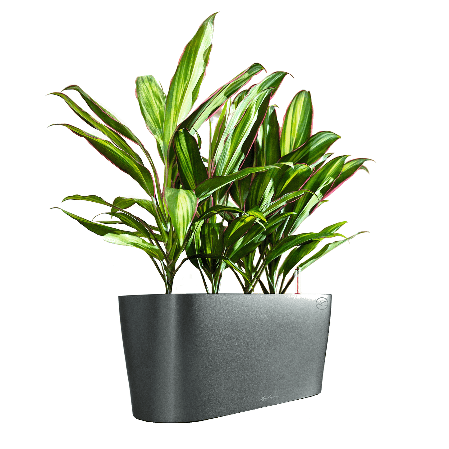 DELTA 20 - mazeproducts