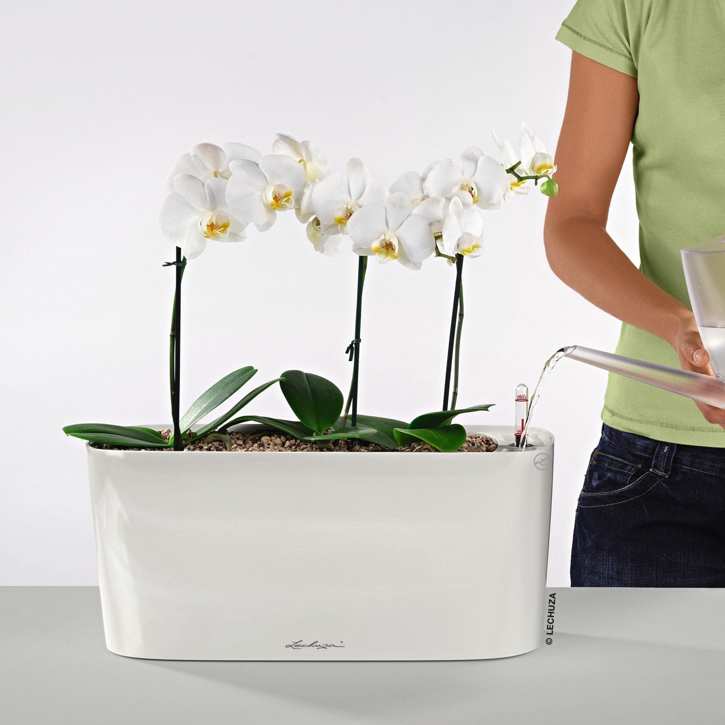 DELTA 20 - mazeproducts