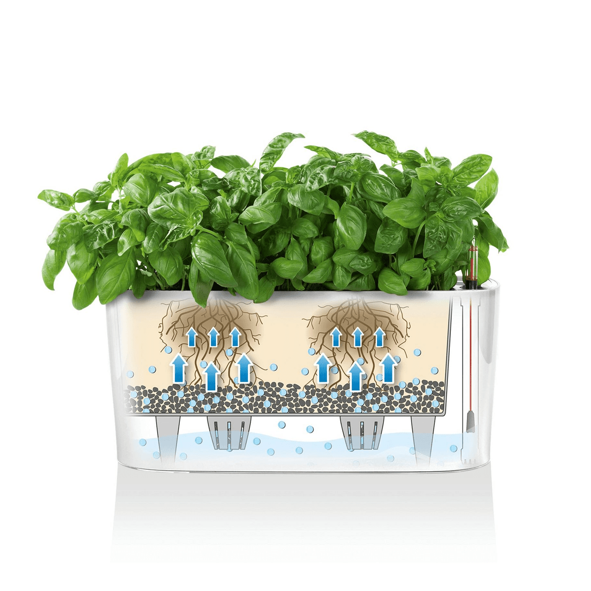 DELTA 20 - mazeproducts