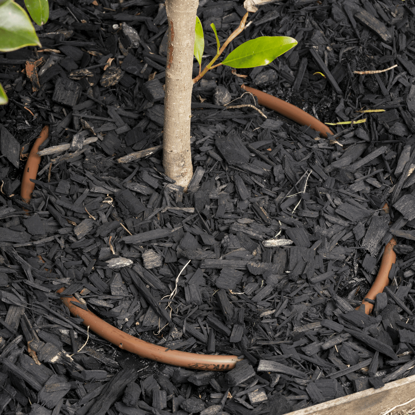 mazeDRIP 100m PC Watering Kit - mazeproducts