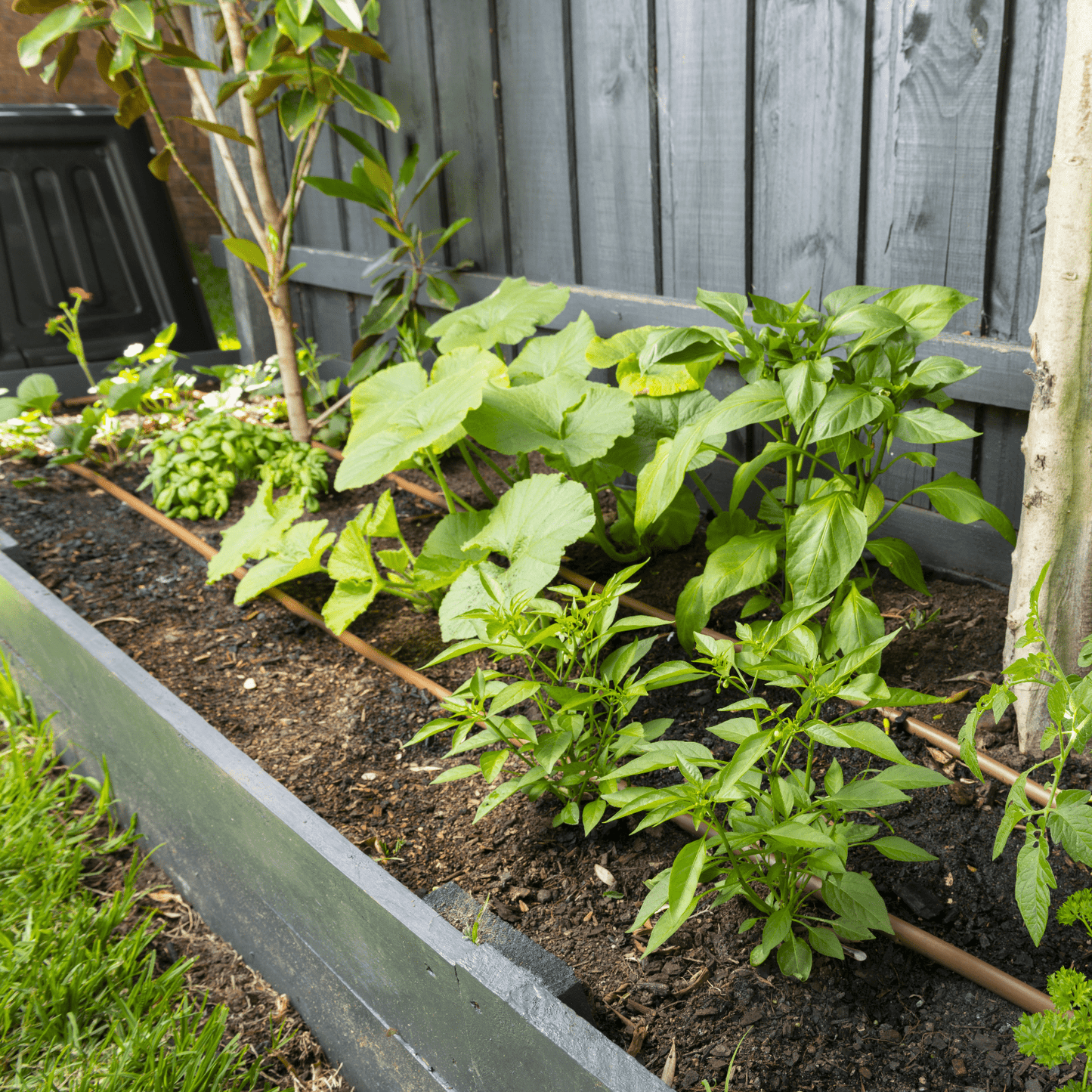 mazeDRIP 50m PC Watering Kit - mazeproducts