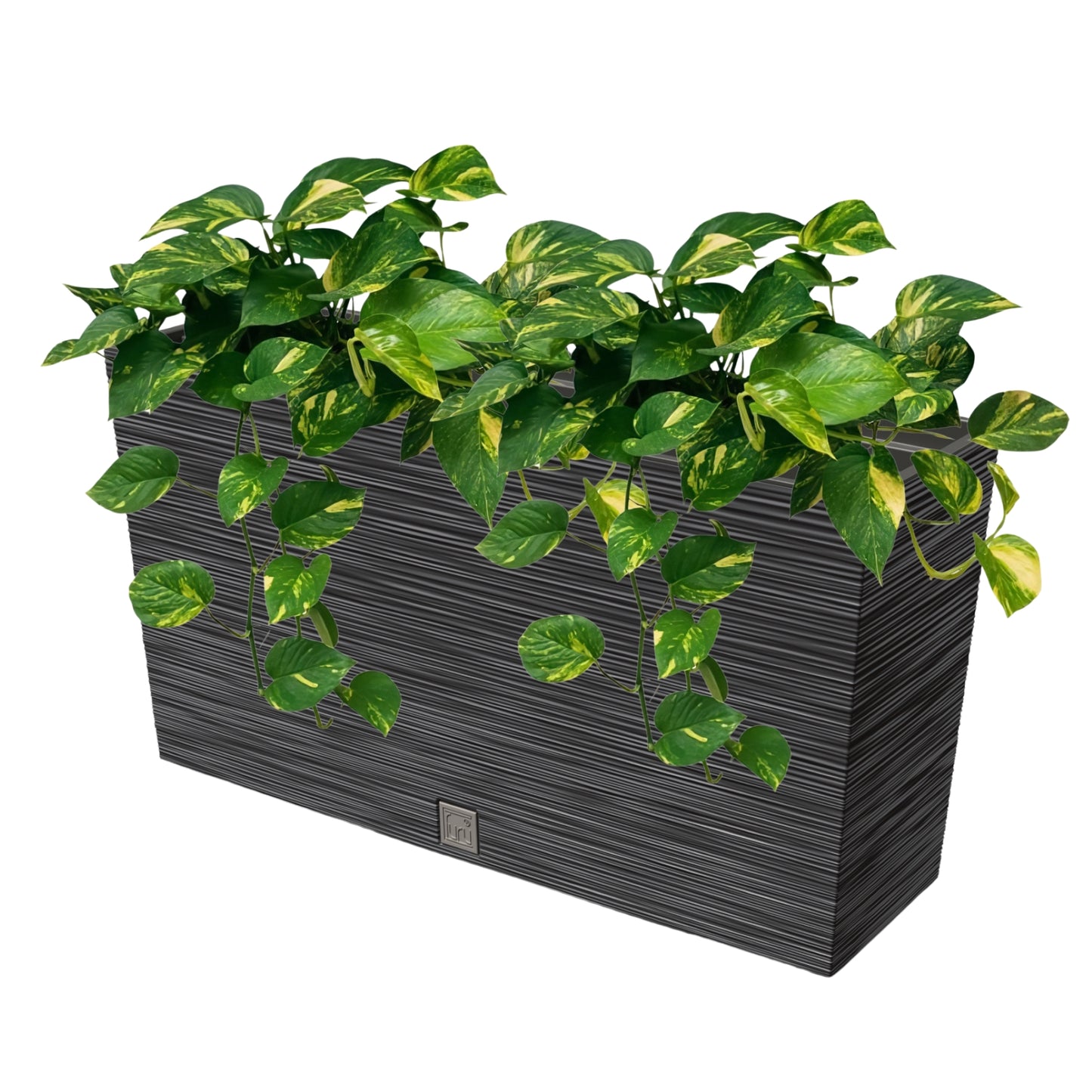 Furu Case Medium Planter - mazeproducts