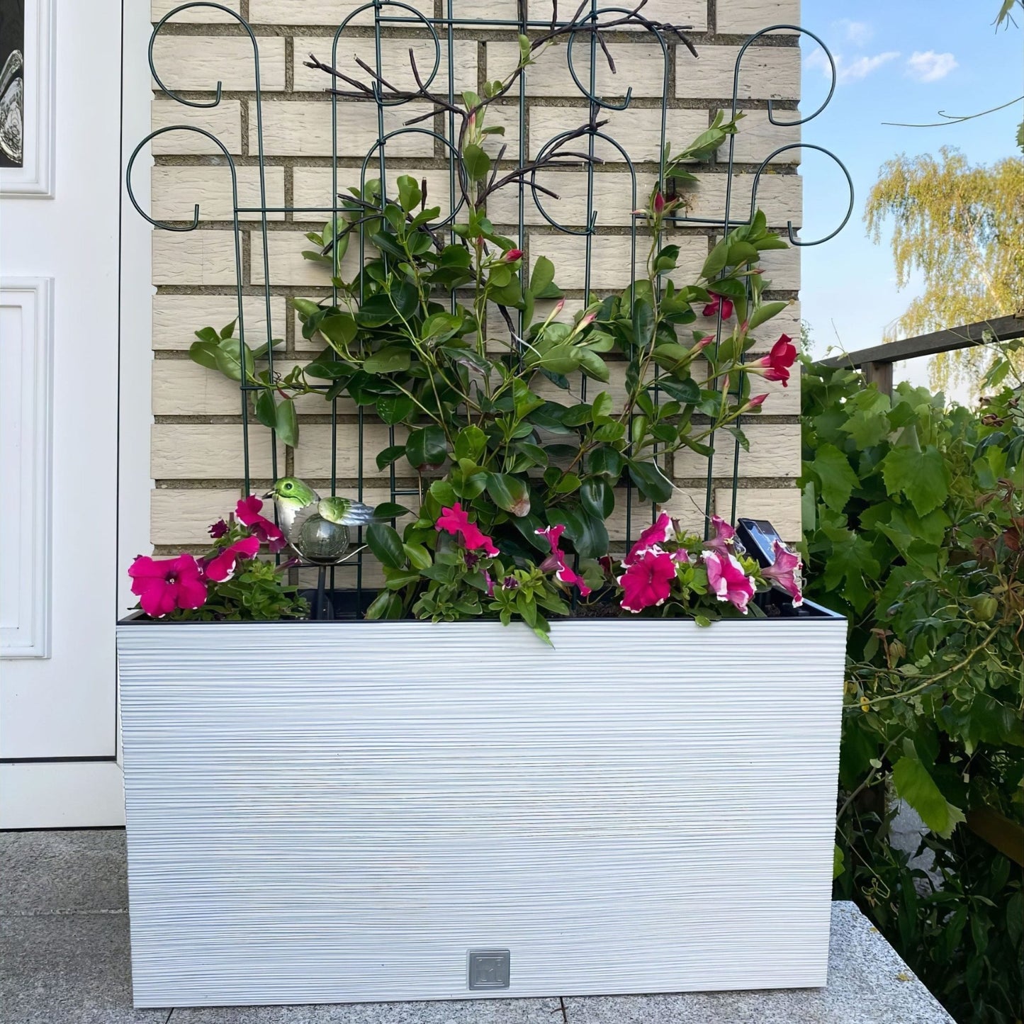 Furu Case Medium Planter - mazeproducts