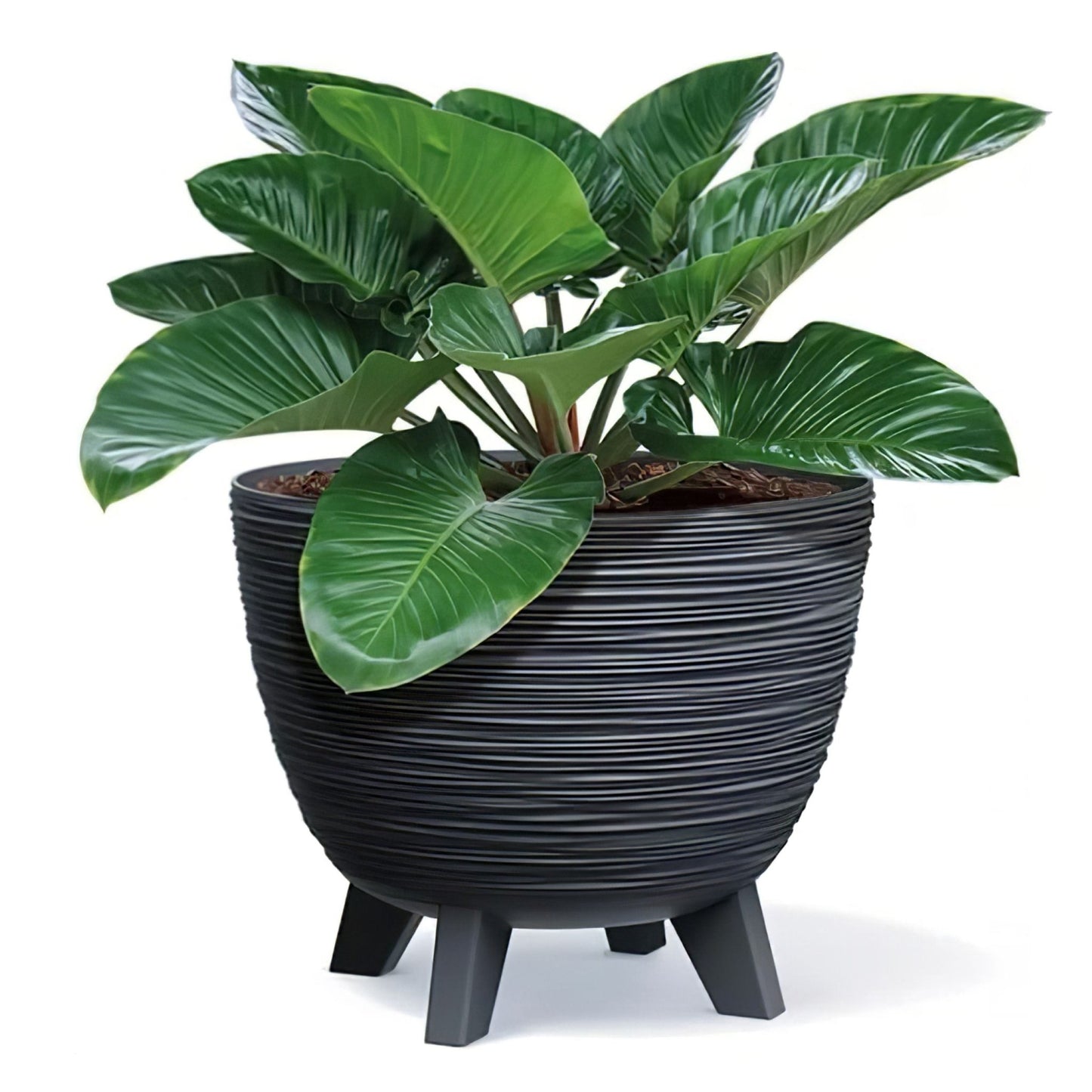 Furu Planter 240 - mazeproducts