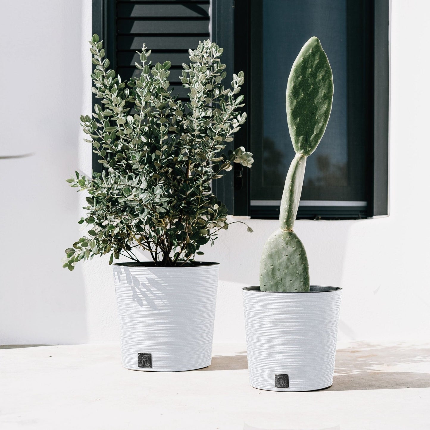 Furu Round Low Planter 250 - mazeproducts