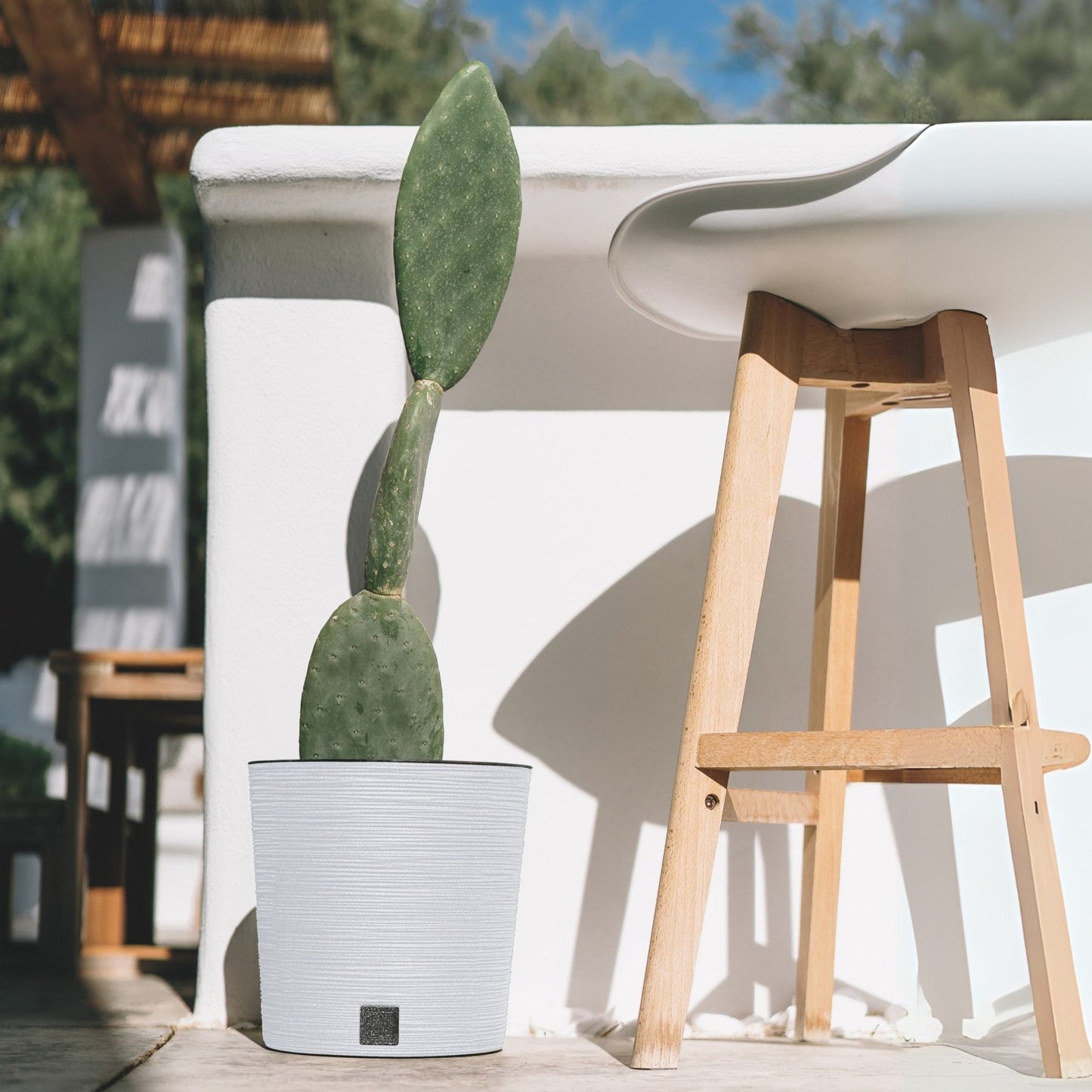 Furu Round Low Planter 250 - mazeproducts