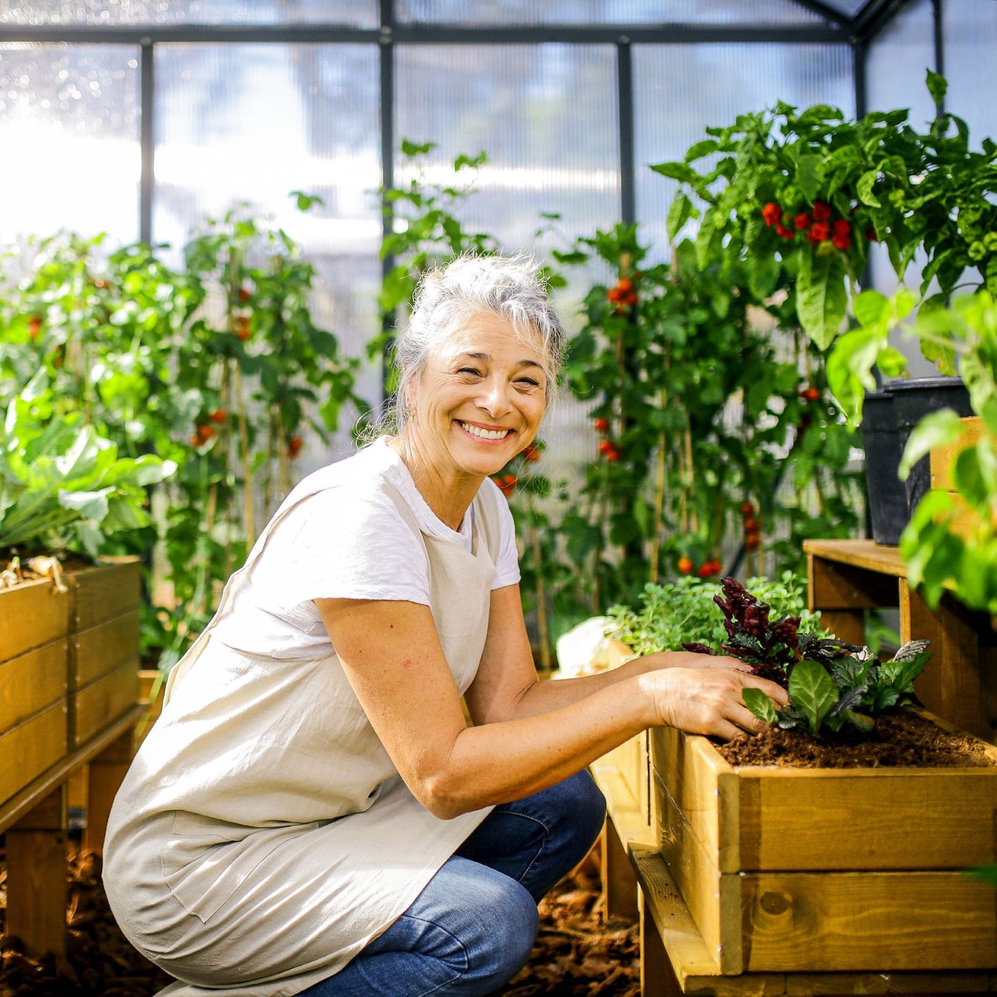 PRE ORDER: OCT. - GLORY 8' x 12' Premium Greenhouse - Grey Frame (2.5m x 3.7m) - mazeproducts